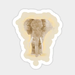 Pure elephant Sticker